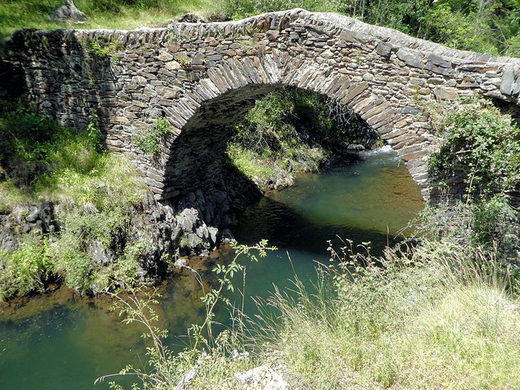 Pesca Ribera de Cardos